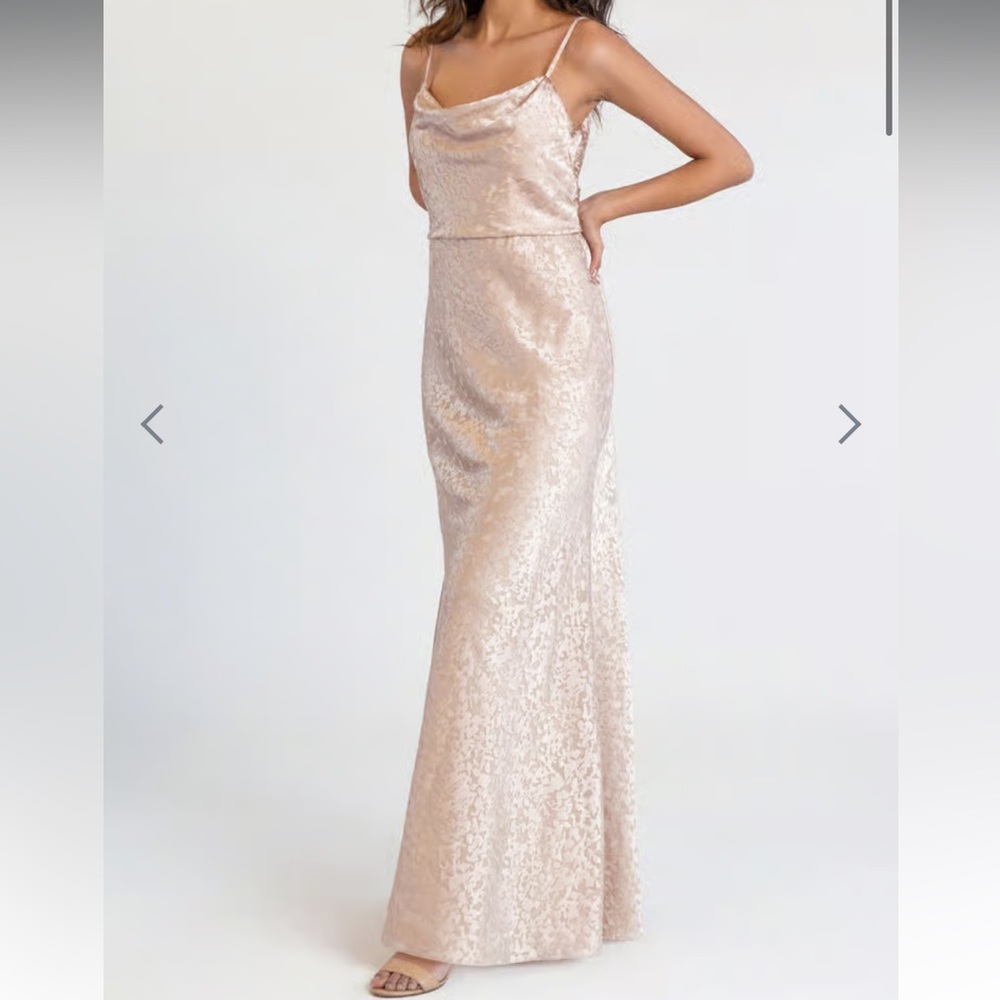 NWT Jenny Yoo Dahlia Gemma Satin Burnout Prosecco size 10 Style: 221106